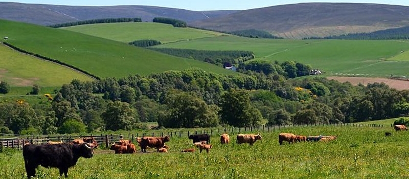 Tree planting on your farm