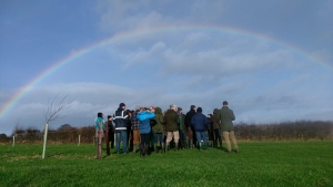 A group of people stand in a field looking at a rainbow