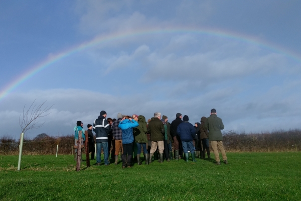 A group of people stand in a field looking at a rainbow
