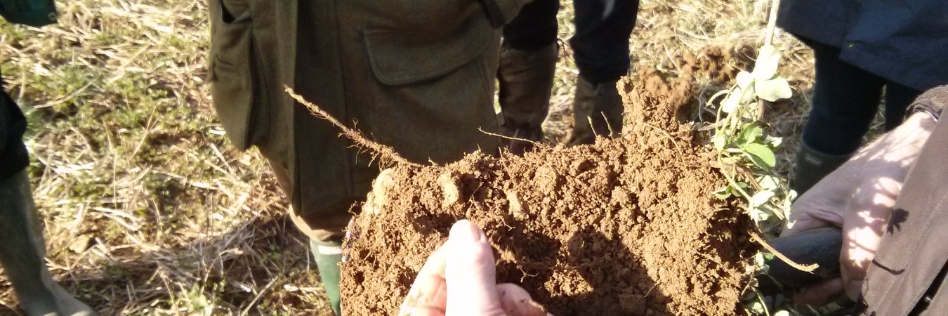 Measuring and managing soil organic matter