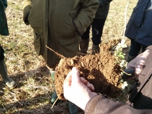 Measuring and managing soil organic matter