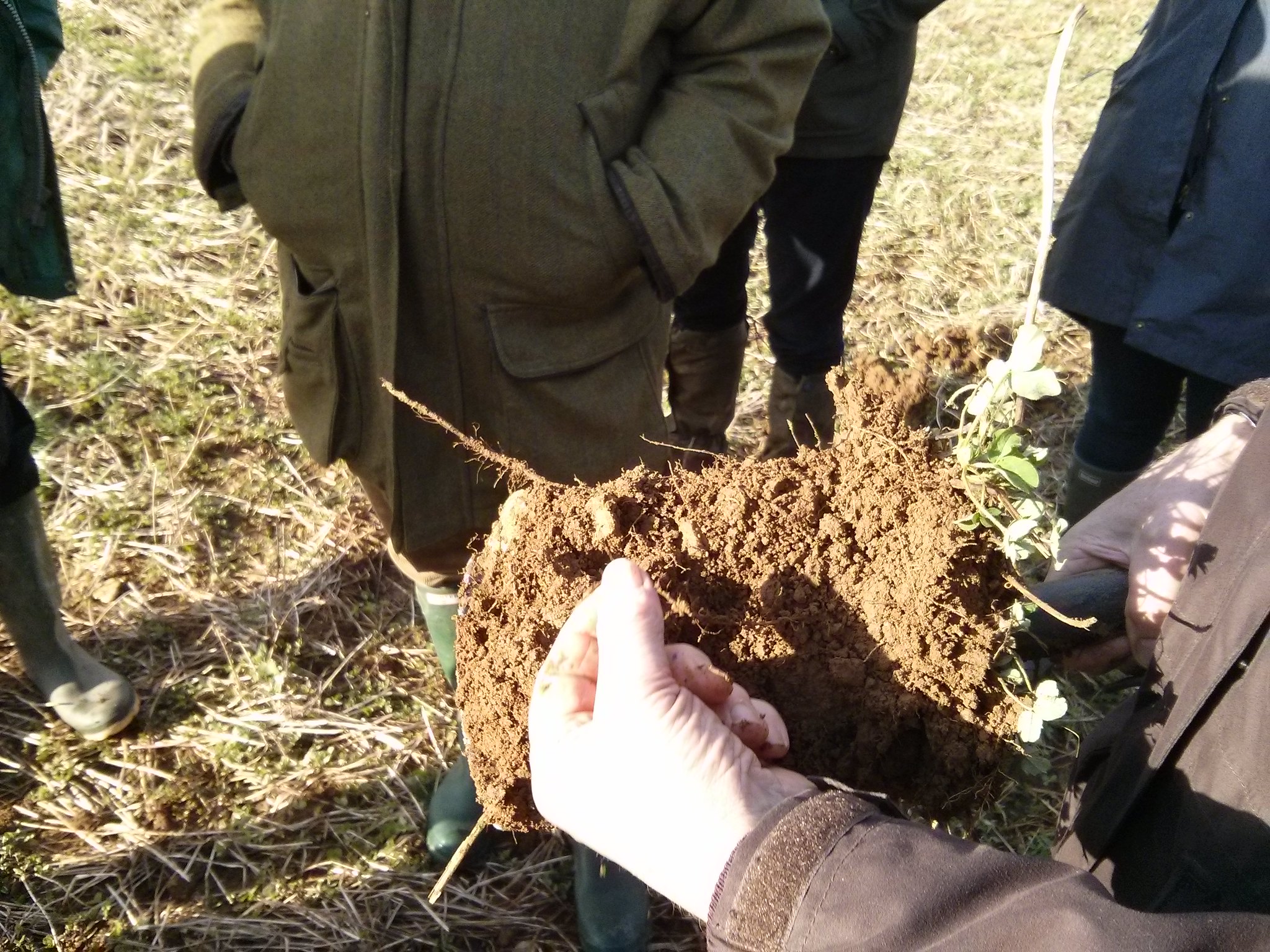 Measuring And Managing Soil Organic Matter Agricology