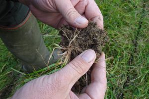 Minimising soil disturbance