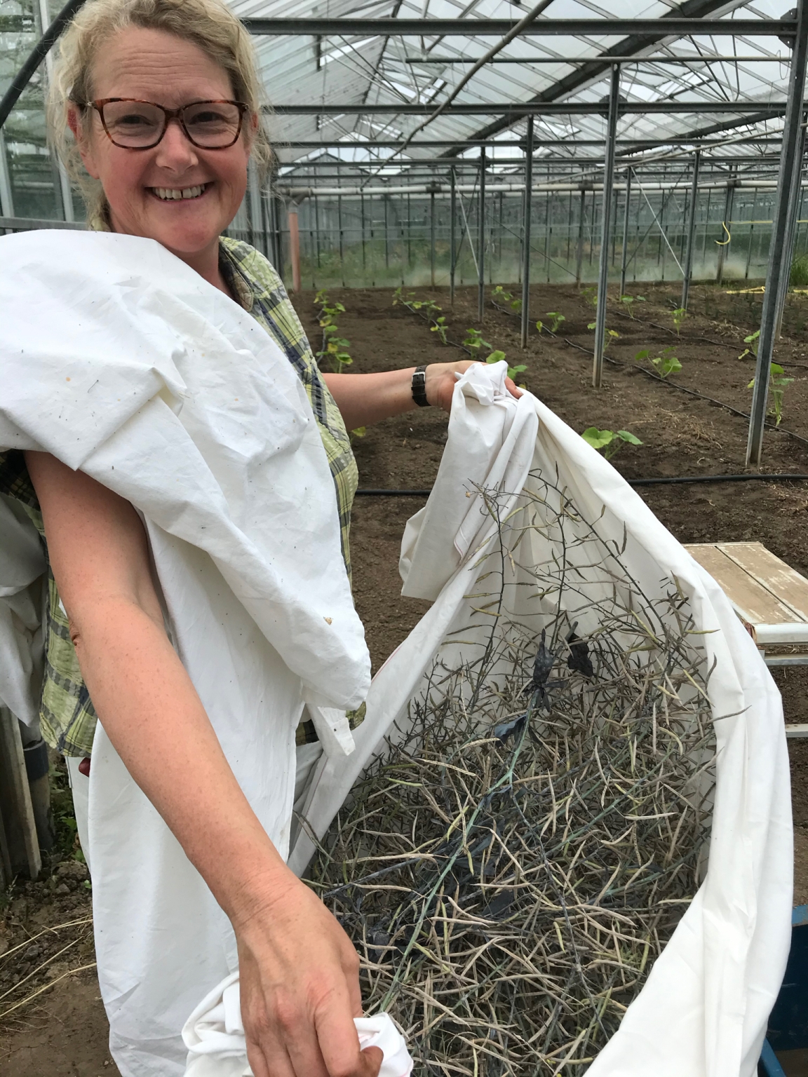 The seeds of diversity the challenges of seed supply in extraordinary