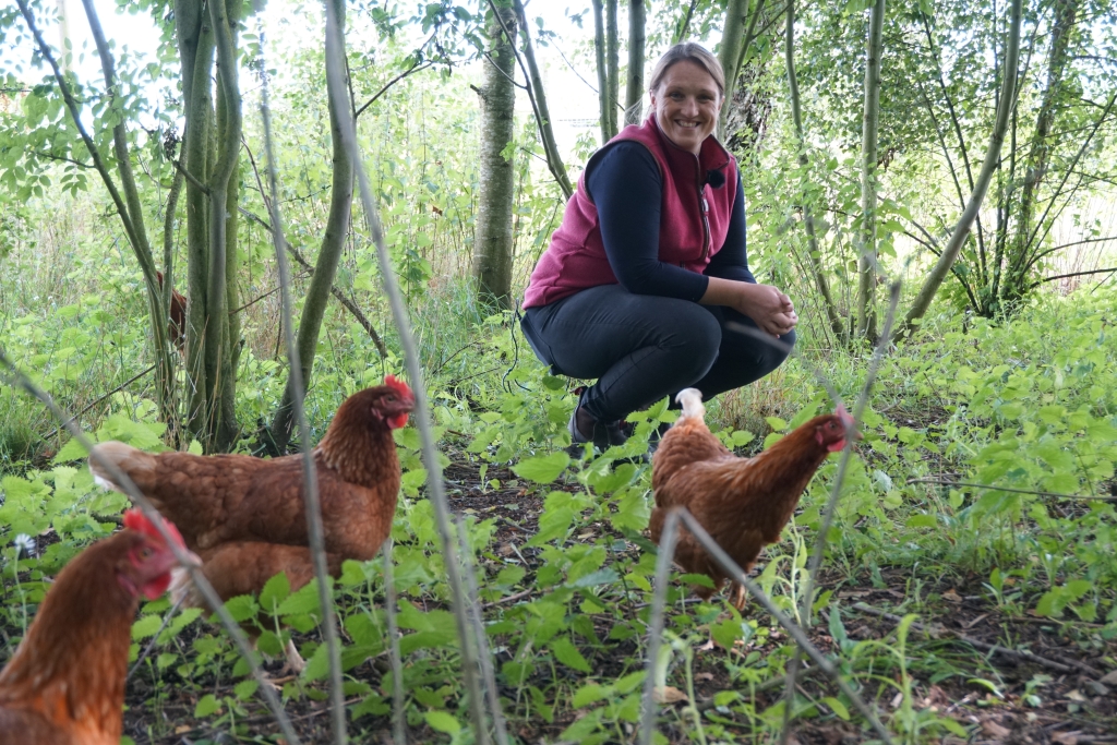 Agroforestry at FAI Farms (silvopoultry)