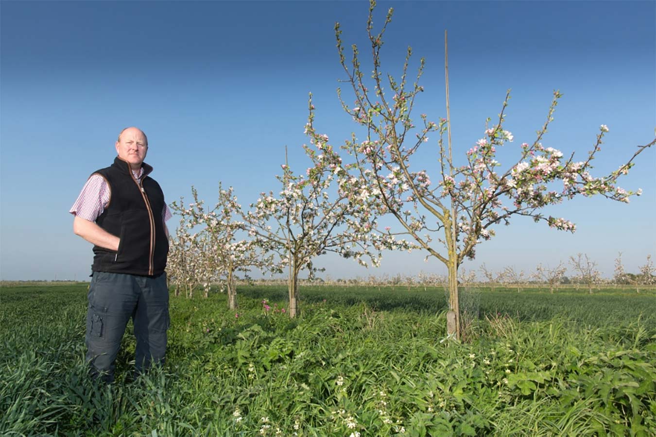 Stephen Briggs - Agricology