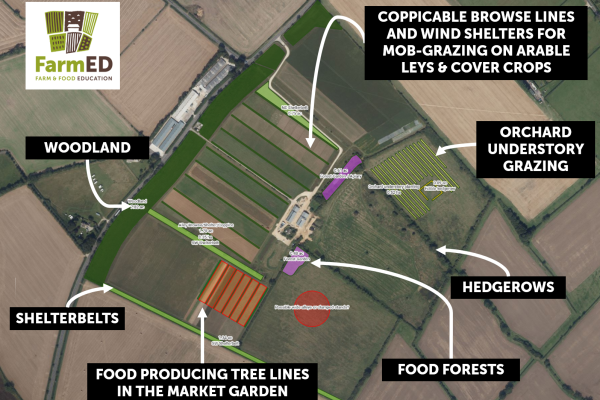 FarmEDagroforestrymap