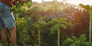 Introduction to permaculture