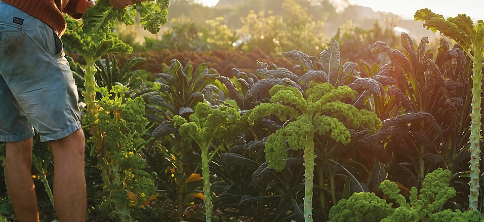 Introduction to permaculture