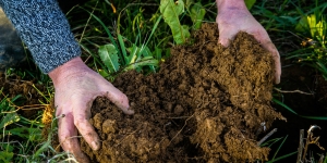 Regen soil health