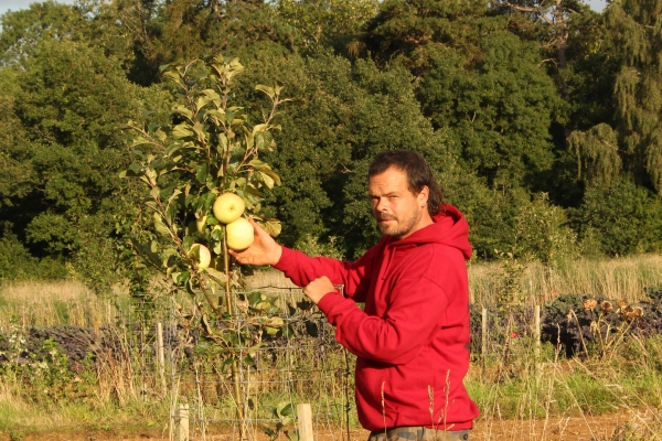 Andy Dibben, head grower at Abbey Home Farm beside early season cooking apple Rev Wilks