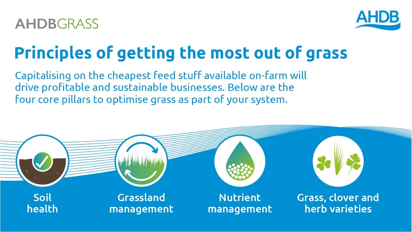 AHDB Principles for getting the most out of grass