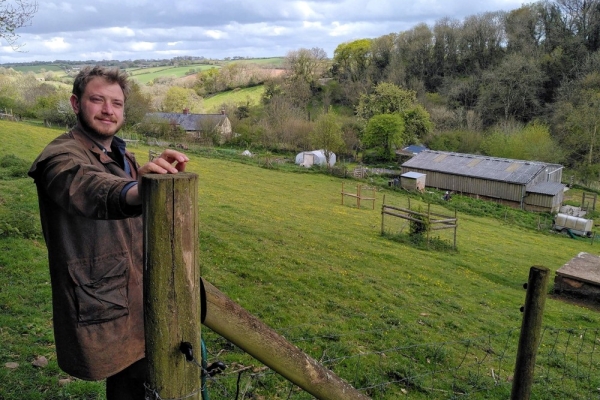 Call on Government to Increase UK Hedgerow Network by 40% by 2050