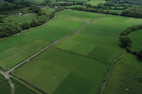 Ariel view of cell grazing plots
