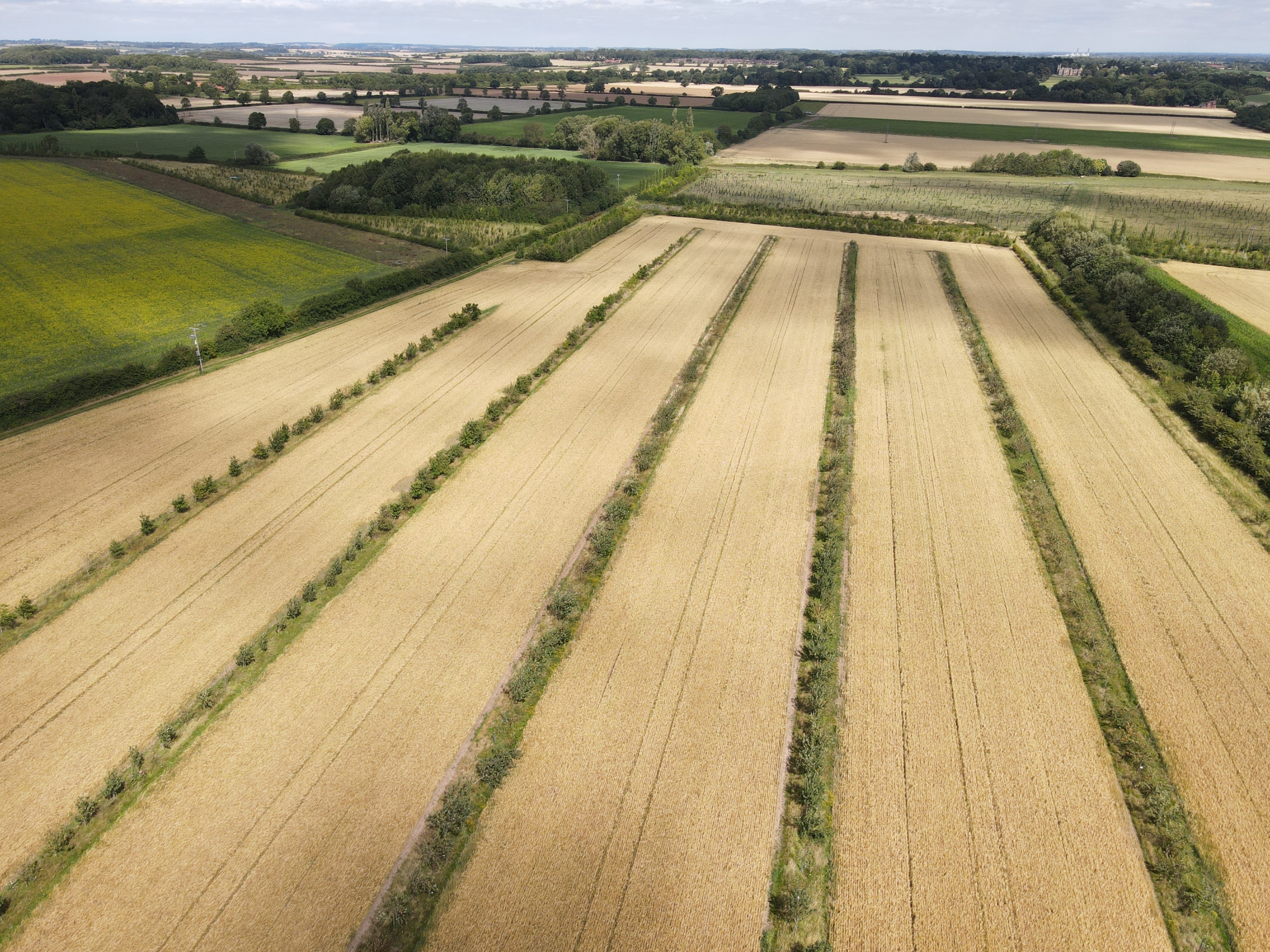 Home Farm from above showing trial areas and utilisation of marginal land
