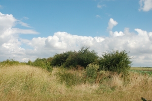 Corner of a field being utilised