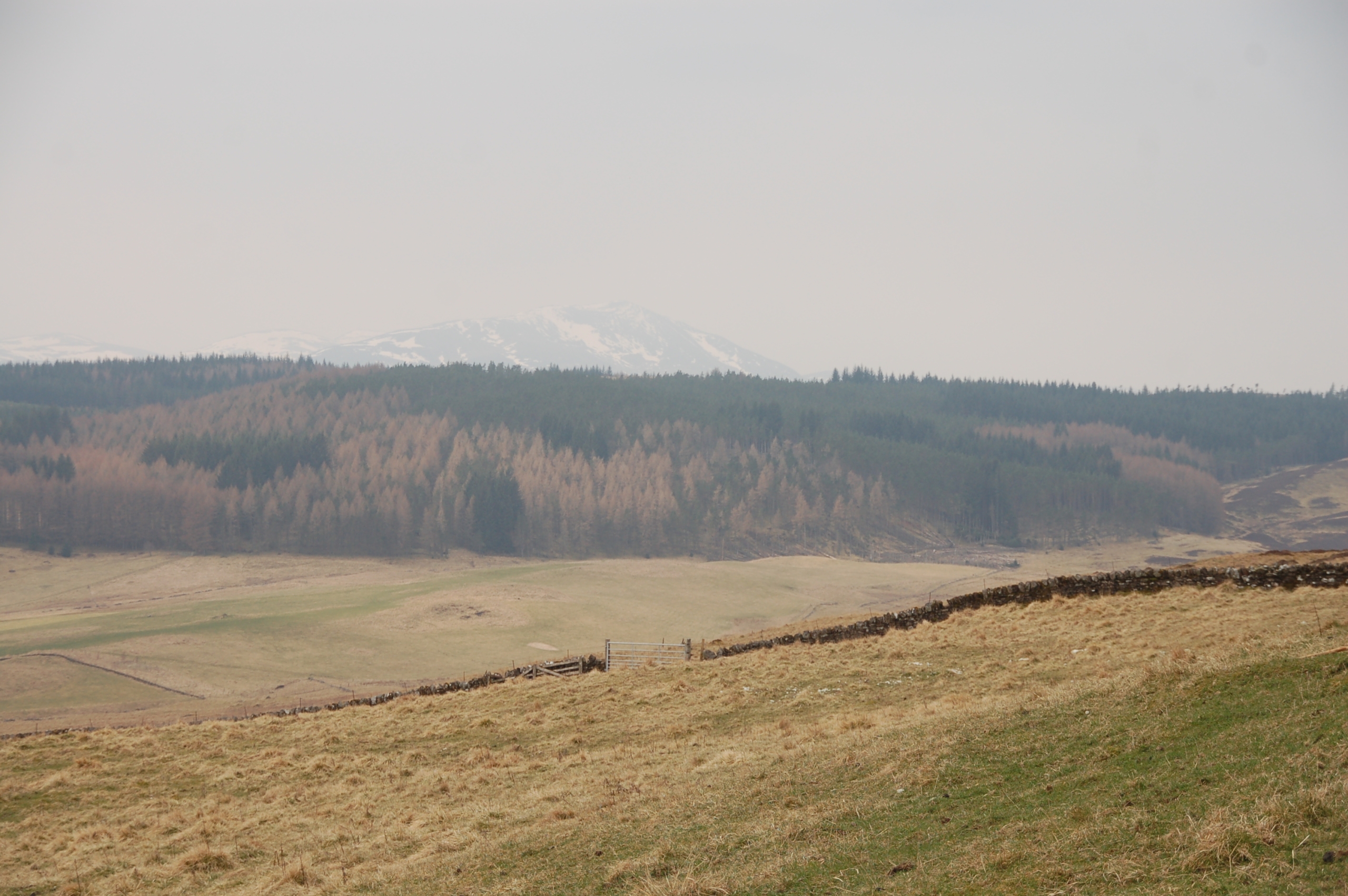 Land at Borenich