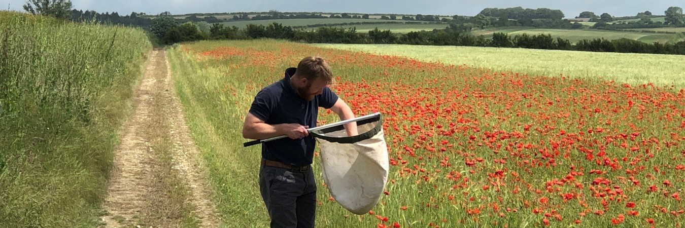 Charlie Mellor carrying out an insect sweep