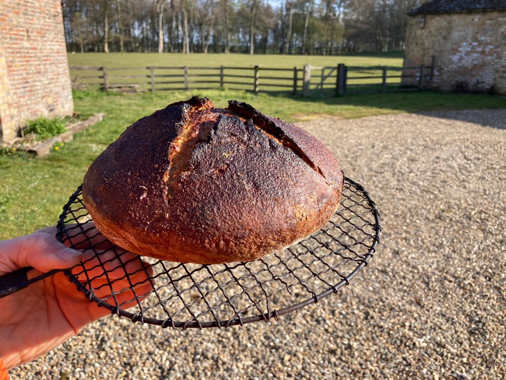 Baking our own bread