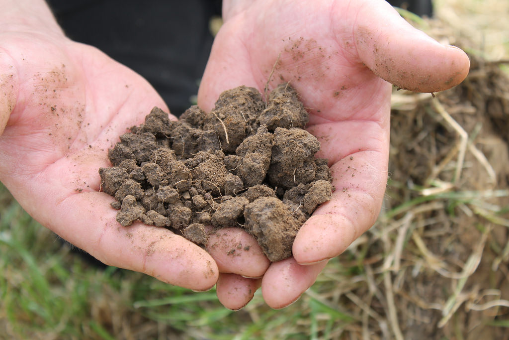 Soil Improving Structure and Function Agricology