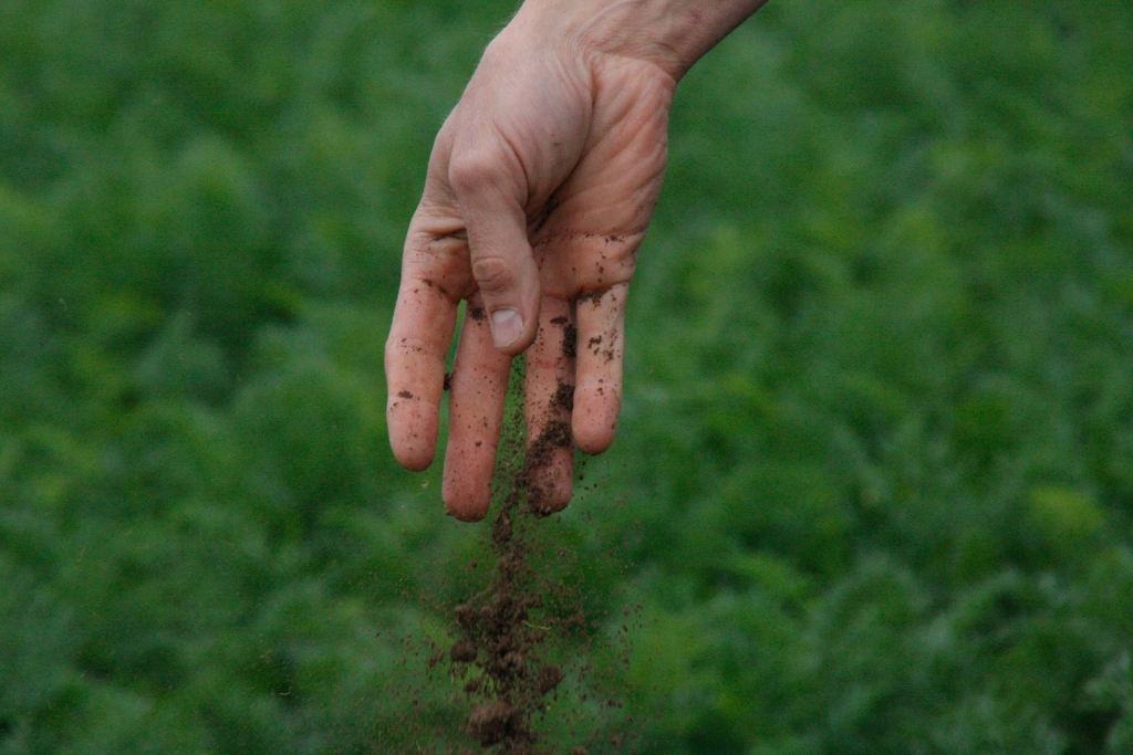 A hand pouring soil on to a field