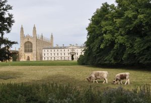 Call-for-abstracts-for-the-18th-International-RAMIRAN-Conference