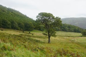 Gowbarrow Hall Farm, Cumbria (Photo credit Janie Caldbeck)