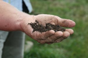 Soil_hand