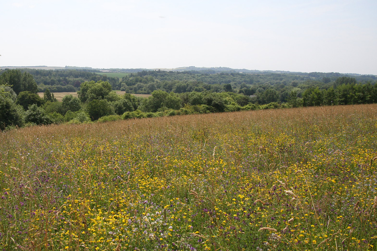 South East Future Of Farming Conference 2024 Sustainability And   NOCC2017 