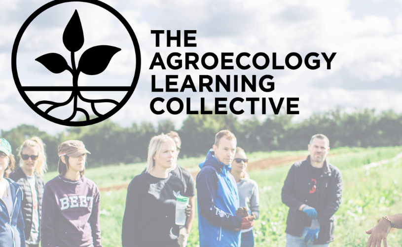 Group learning in the field. TALC logo. Photo Ben Pryor.