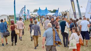 PasturPasture Field scene, Groundswell PasturPasture Field scene, Groundswell