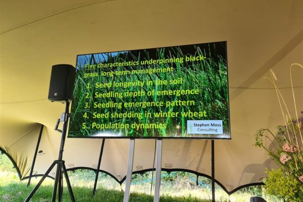 5 key aspects of black-grass agroecology