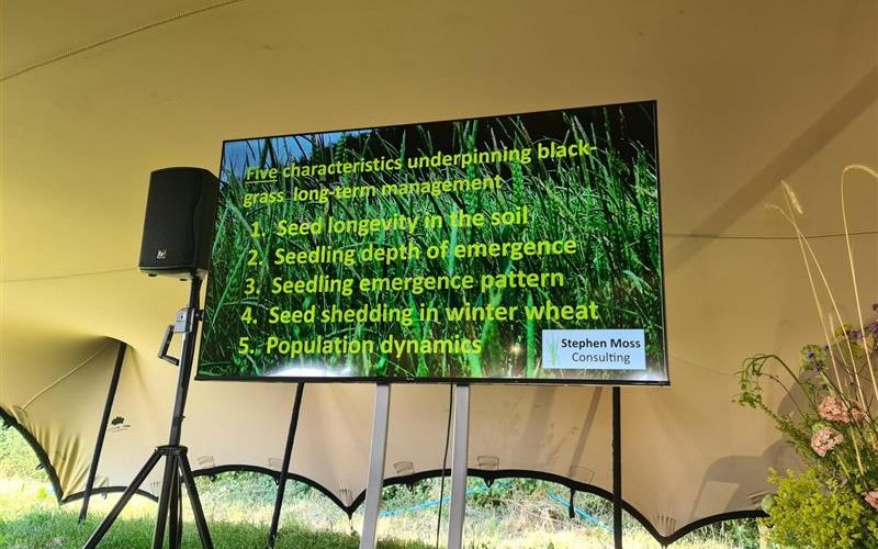5 key aspects of black-grass agroecology
