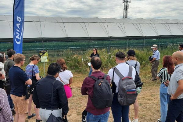 Demonstrating the benefits of the BEESPOKE wildflower seed mixes – copyright BEESPOKE