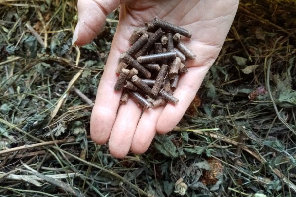 PGM pellet: Photo: Perennial Green Manures project