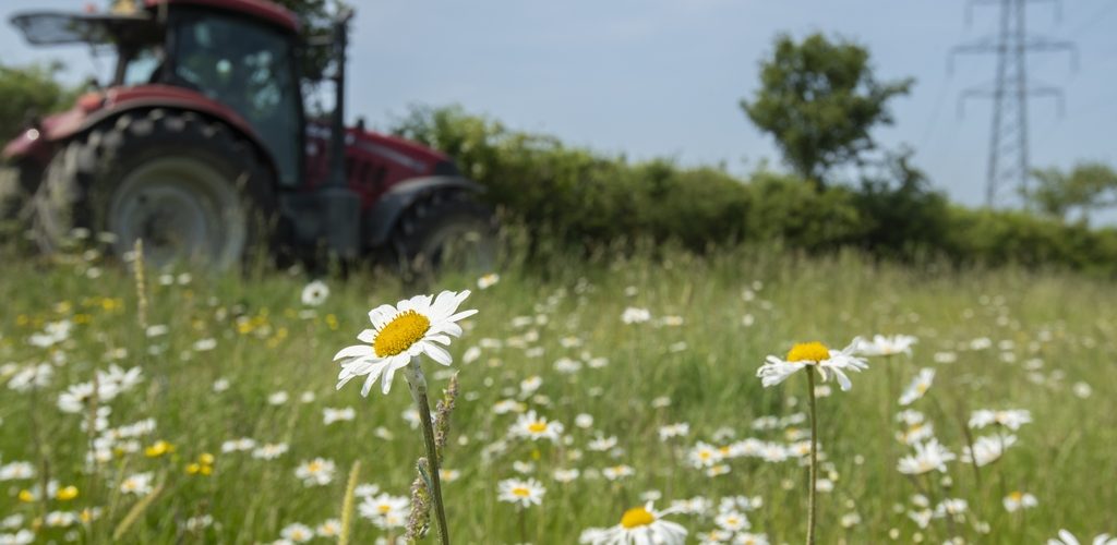 Nature Friendly Farming in Action. Taken by Ben Andrew (rspb-images.com). All Rights Reserved