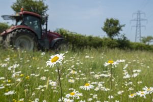 Nature Friendly Farming in Action. Taken by Ben Andrew (rspb-images.com). All Rights Reserved