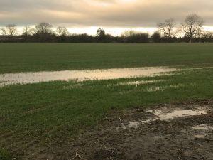 Soil Carbon and Water Resilience Project