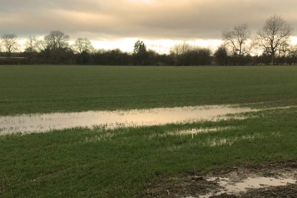 Soil Carbon and Water Resilience Project