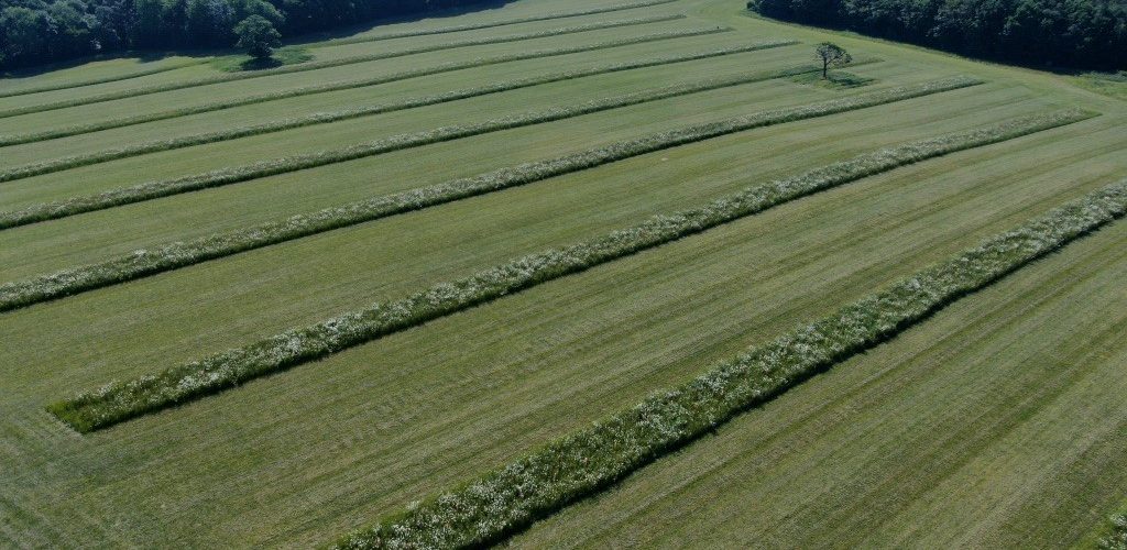 Frasers farm
