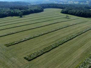 Frasers farm