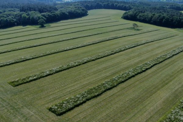 Frasers farm