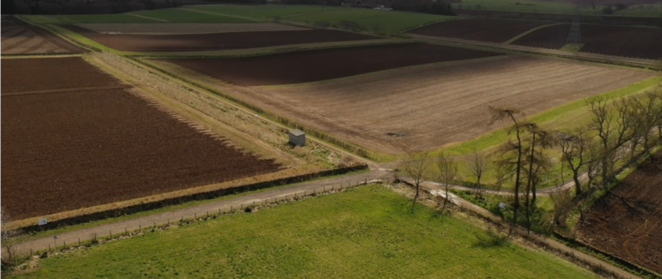 Cathy Hawes at The James Hutton Institute