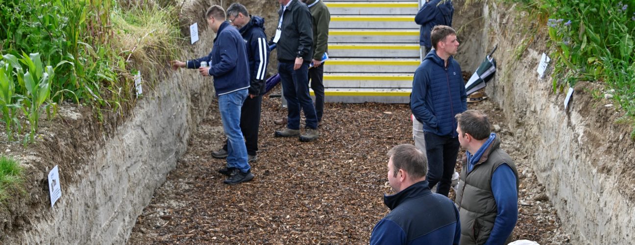 Cereals Event 2025