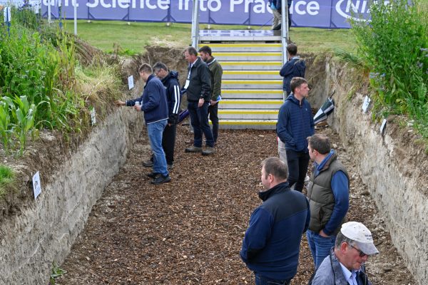 Cereals Event 2025