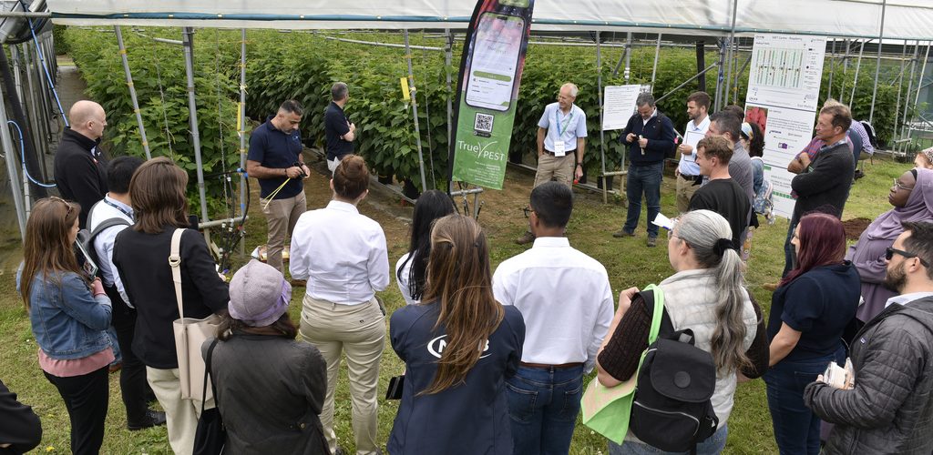 Fruit Focus Tours