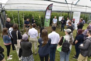 Fruit Focus Tours