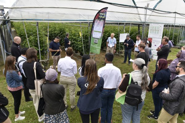 Fruit Focus Tours