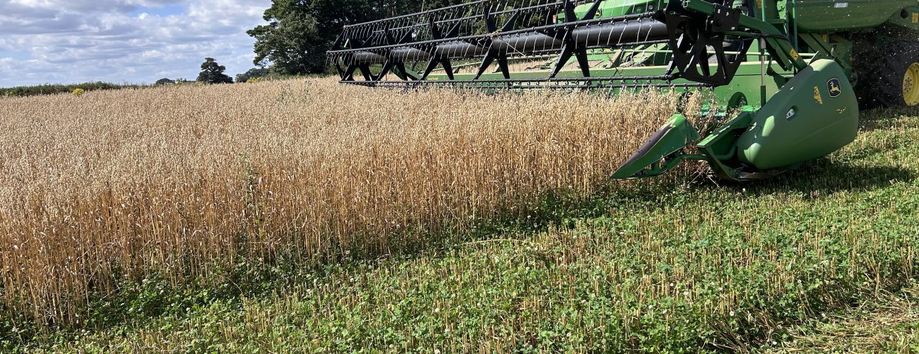Farming at the Fring Estate