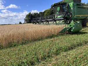 Farming at the Fring Estate